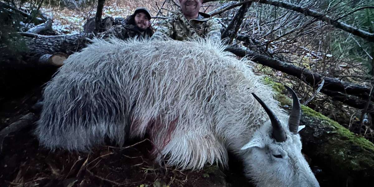 Mountain Goat Hunting BC