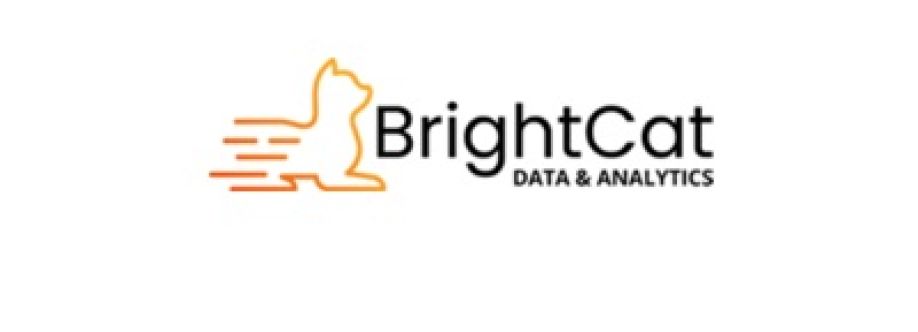 brightcatdata Cover Image
